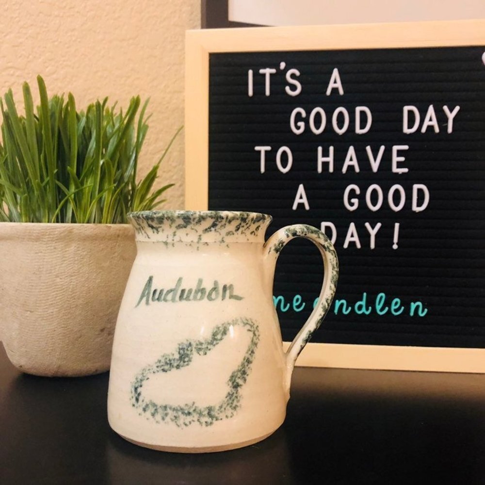 Pottery mug audubon bird‎ green speckles